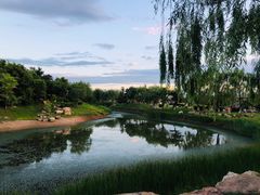 -莫子山公园