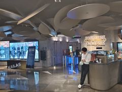 -百美汇影城(LUXE嘉里中心店)