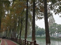 -蜀绣公园