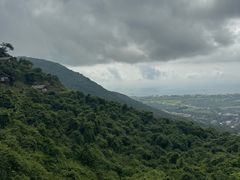 -亚龙湾热带天堂森林公园