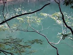 -浙东大峡谷风景区