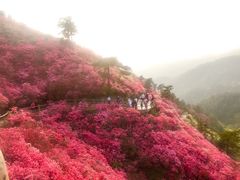-木兰云雾山
