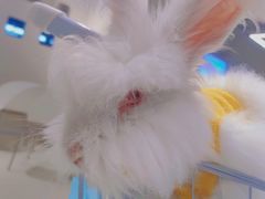 -怪兽屋·羊驼·猫咖·狗咖(俊华广场店)