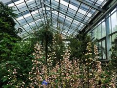 -国家植物园南园