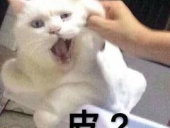 -满记甜品(万象城店)