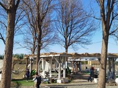 -安德鲁户外烧烤帐篷营地(马泉营店)