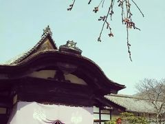 -醍醐寺