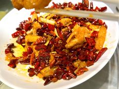 -新渝城·川菜·火锅(区庄店)