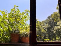 -野蔓果·山野菜(西湖景区·龙井茶田店)