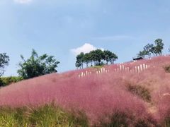 -黄龙溪欢乐田园