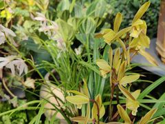 -北京植物园-展览温室