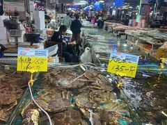 -日照灯塔风景区