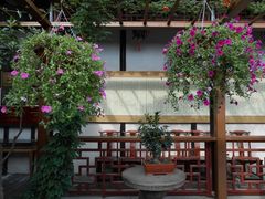 内部花园景色-吴门人家·苏宴宫廷菜(拙政园店)