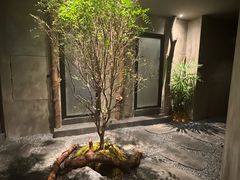 -森SPA·泰式按摩·精油Massage(宝安中心店)