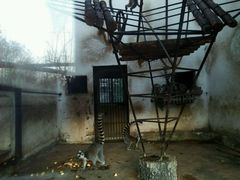 -石家庄市动物园