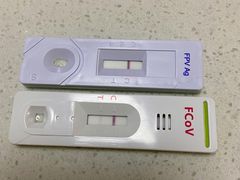 -宠颐生维康宠物医院(金丰店)