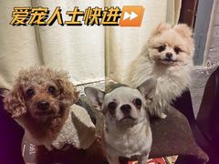 -萌喵咖啡屋(人民东路4号口M16商铺店)