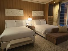 -拉斯维加斯永利酒店