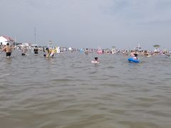 -碧海金沙