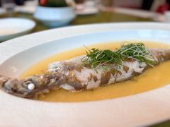 -上海总会SHANGHAICLUB(兴业太古汇店)
