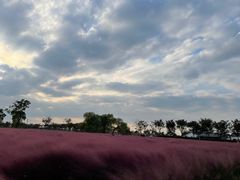 -嘉北郊野公园