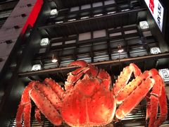 -蟹料理 北海道かに将軍(札幌本店)