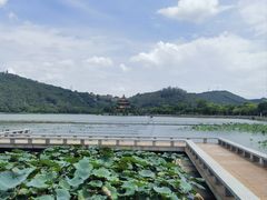 -顺峰山公园