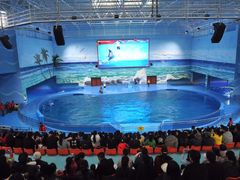 -多彩贵州城极地海洋世界