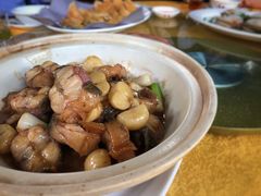焖野生风鳝-大笑饭堂(甲子桥店)