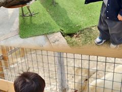 -盈香心动乐园