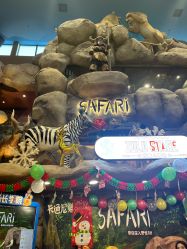 -卡通尼·Safari非洲探索乐园·生日会(金桥国际商业广场店)