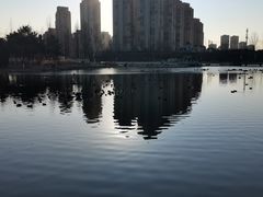 -前关湿地公园