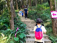 -广州市帽峰山景区