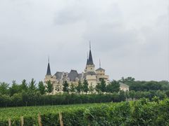 -北京张裕爱斐堡酒庄