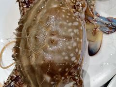 -川骄海鲜自助(河东店)