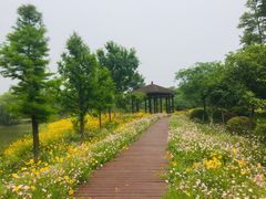 -南湖湿地公园