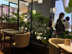 -THE WOODS 简餐 (国贸商城店)