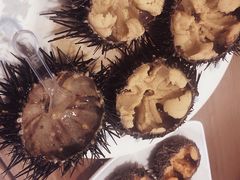 -海胆小馆(东北水饺·春柳店)