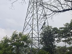 -黄埔油麻山森林公园