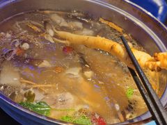 鲜人参锅底-千岛蚝高压锅生蚝·人参火锅(白云万达店)