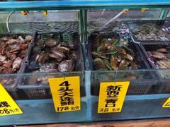 -寻味顺德·南记酒家·传统顺德菜·鱼生(广源路店)