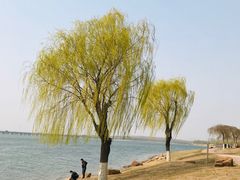 -丁香湖公园