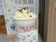 -初茶花月·重庆特产(大融城店)