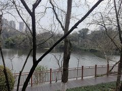 -重庆彩云湖湿地公园