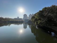 -月湖公园