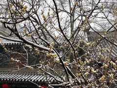 -星巴克(北京建威大厦店)