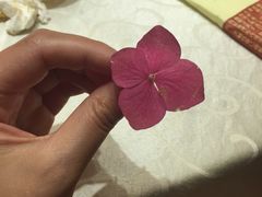 -阿英煲(凉城路店)