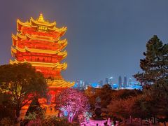 -黄鹤楼公园(黄鹤楼)