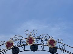 -武汉知音号