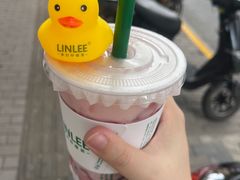 -LINLEE林里·手打柠檬茶(黄浦茂名南路店)